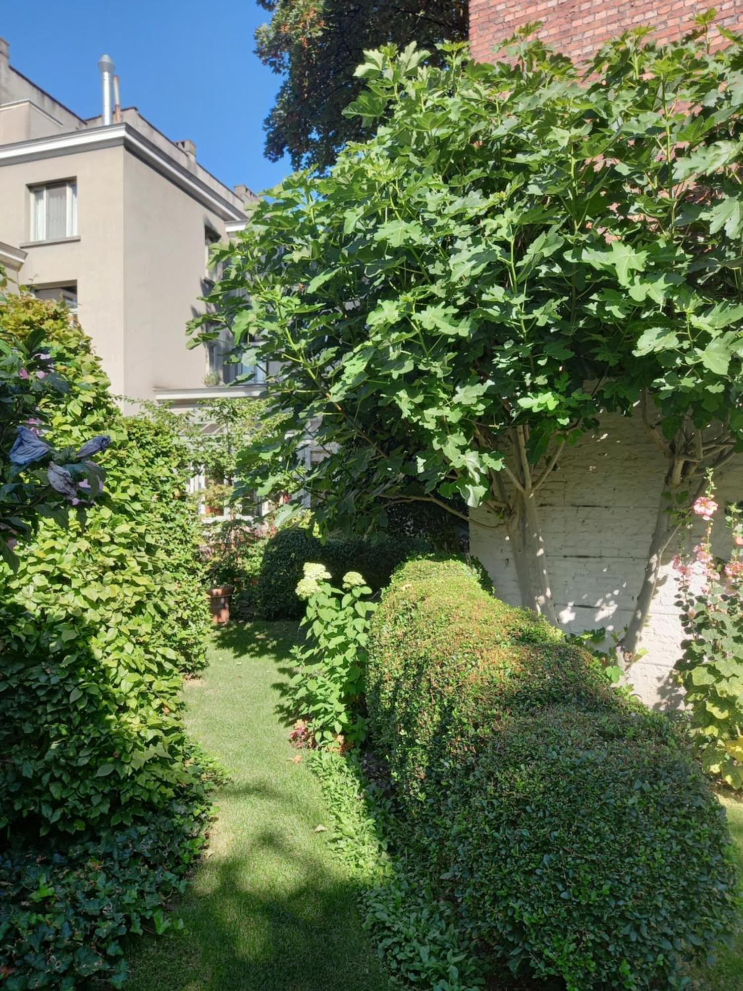 Huis Dujardin Bed&Breakfast Антверпен Екстер'єр фото