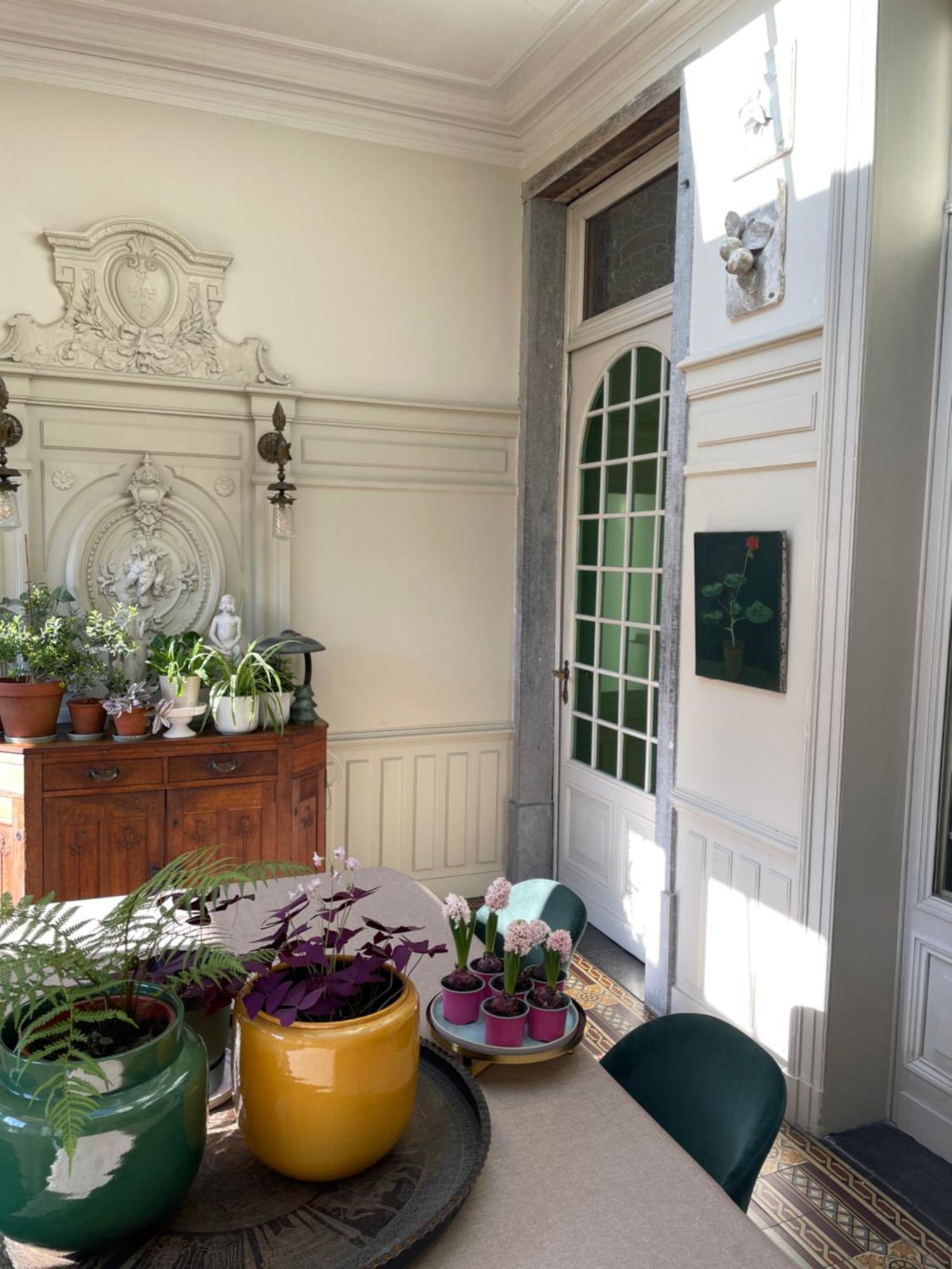 Huis Dujardin Bed&Breakfast Антверпен Екстер'єр фото